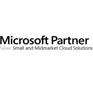 Microsoft Partner Logo